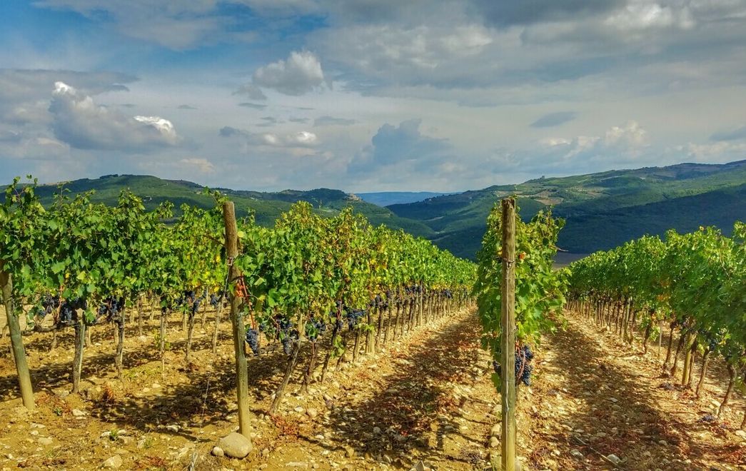 Weinwandern in der südlichen Toskana